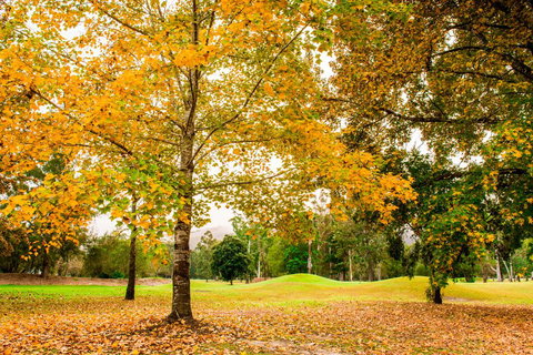 The Retreat At Wisemans - LBG 1