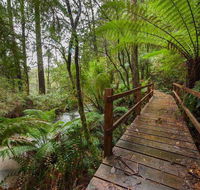 The Source Otways - LBG