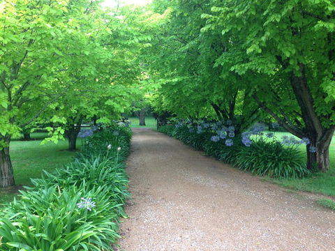 Toscana On Greenhills - LBG 1