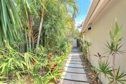 Tropical Oasis - LBG 2