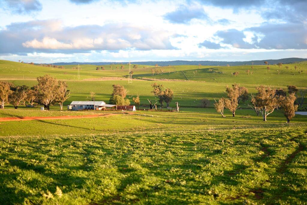Taylors Flat NSW LBG