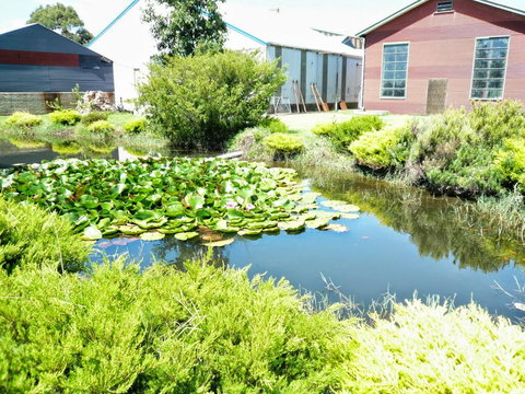 Yarragon Dairy Family Room - LBG 1