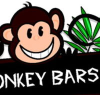 Monkey Bars Canning Vale Play  Learn - LBG