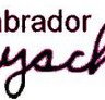 Labrador Playschool - LBG