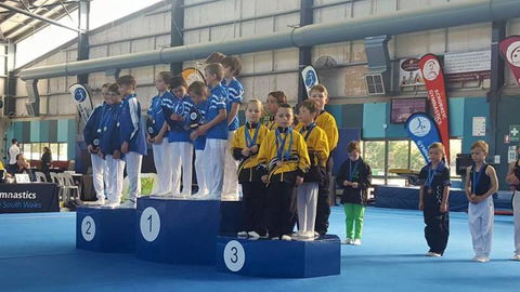 Gosford Gymnastics - LBG 1
