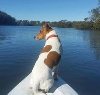 Australis Canoes  Kayaks - LBG