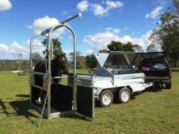 Tamworth Veterinary Hospital - LBG 1