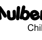 Mulberry Tree Childcare Doubleview Scarb Bch Rd - LBG