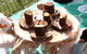 Honeybee Preschool - thumb 2
