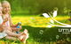 Little Scholars School Of Early Learning Yatala & Stapylton - thumb 0