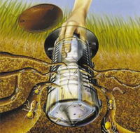 Natural Pest Control - LBG