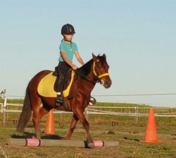 Concise Equestrian Centre - LBG 0
