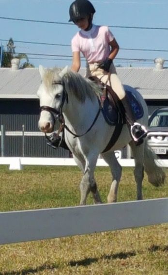 Concise Equestrian Centre - LBG 2