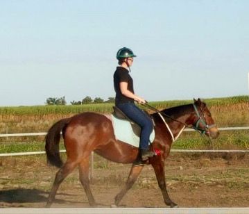Concise Equestrian Centre - LBG 3