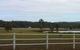 Arizona Horse Agistment Centre - thumb 0