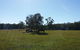 Arizona Horse Agistment Centre - thumb 1