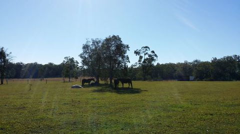 Arizona Horse Agistment Centre - LBG 1