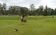 Arizona Horse Agistment Centre - thumb 4