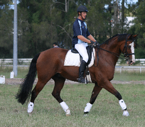 Spirit Lodge Equestrian Centre - LBG 3