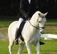 Encantador The Riding School - LBG