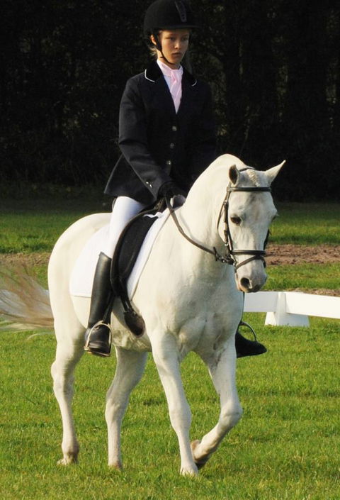 Encantador The Riding School - LBG 0