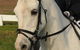 Encantador The Riding School - thumb 2
