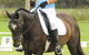 Encantador The Riding School - thumb 3