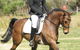 Encantador The Riding School - thumb 4