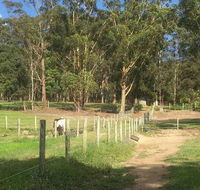 Merrypark Equestrian Centre - LBG