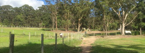 Merrypark Equestrian Centre - LBG 0