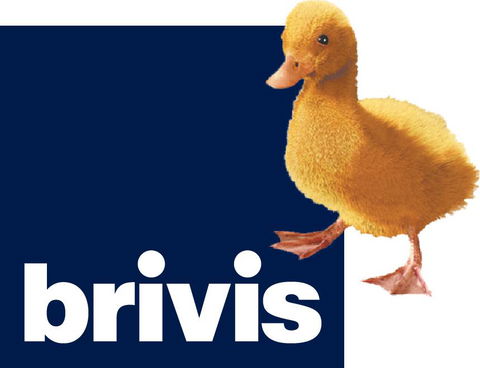 Sapphire City Solar & Electrical - LBG 0