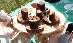 Honeybee Preschool - LBG 2