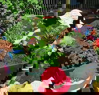 Noosaville Child Care  Preschool Centre - LBG