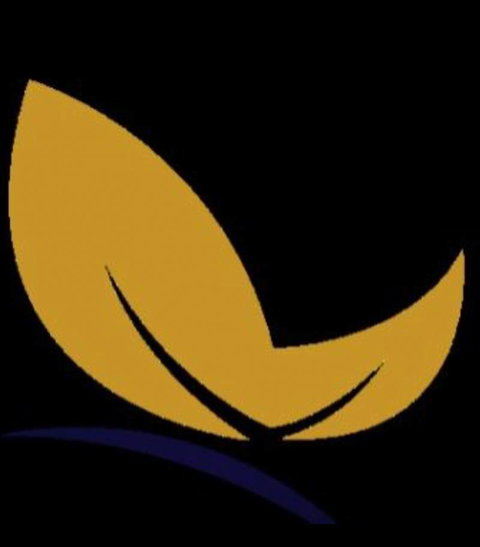 Fraser Shores Medical Centre And Hervey Bay Skin Clinic - LBG 2