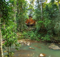 The Canopy Rainforest Treehouses and Wildlife Sanctuary - LBG