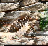Jenolan Caves House - LBG