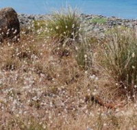 Schouten House - LBG