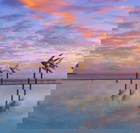 Global Backpackers Cairns - LBG