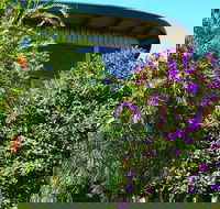 The Boomerangs - LBG