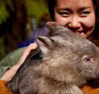 Fauna Australia Wildlife Retreat - LBG