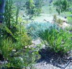 Old Miners Cottages Bed  Breakfast - LBG