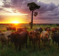 Myella Farm Stay - LBG