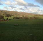Mancuso Country Cottage Retreat - LBG