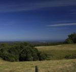 Otway Junction Motor Inn - LBG