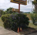 Golden West Motor Inn - LBG