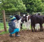 Manderley Park Farmstay B  B - LBG