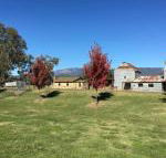 La Casa - LBG
