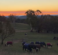 High Country Trail Rides  Farm Stay - LBG