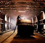 Pieter van Gent Winery  Vineyard - LBG