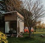 Bedervale Tiny - LBG